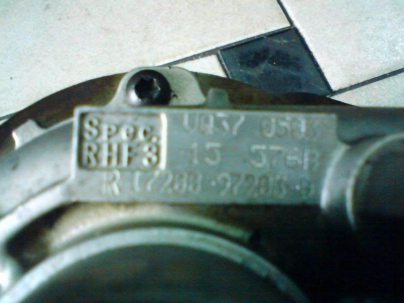 DSC01480.jpg