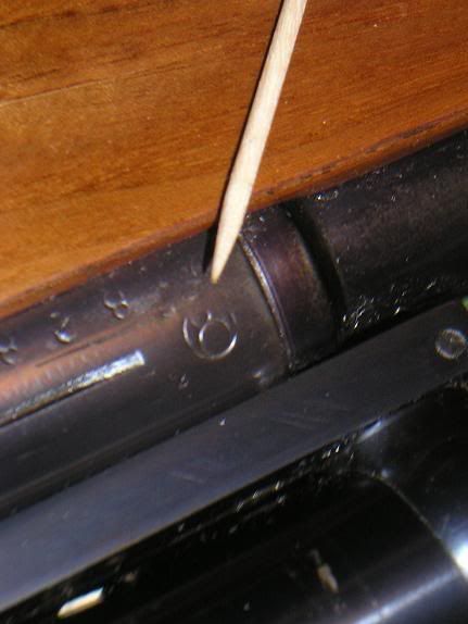 P1010074-1.jpg