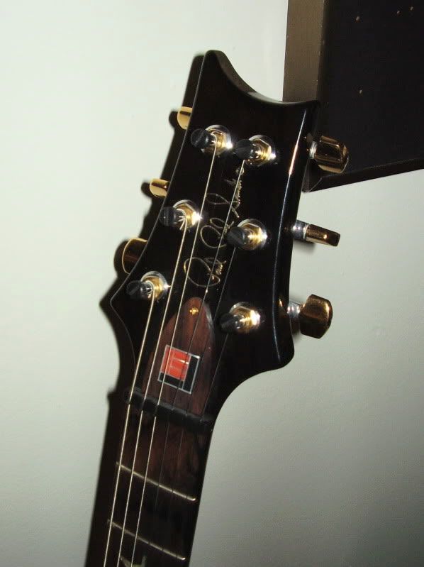 NGD, PRS Long & McQuade Custom 22 The Canadian Guitar Forum