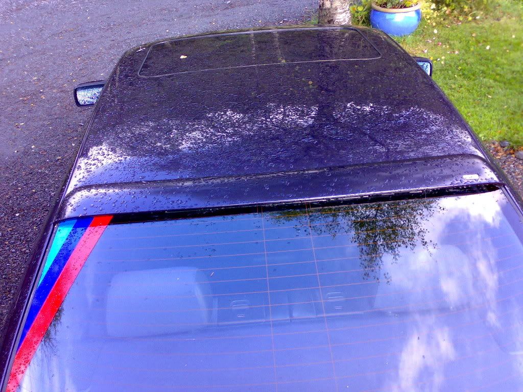 05092007122.jpg