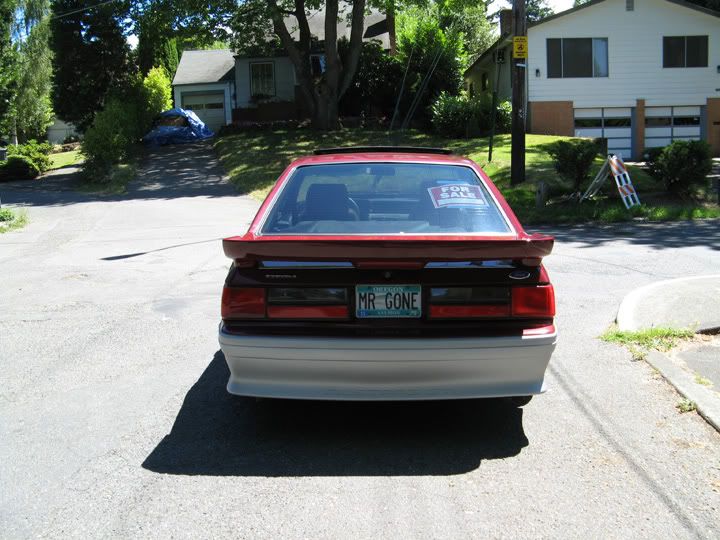Mustang_straight_rear_IMG_0281_edit.jpg