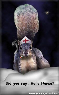 squirrelnurse.jpg