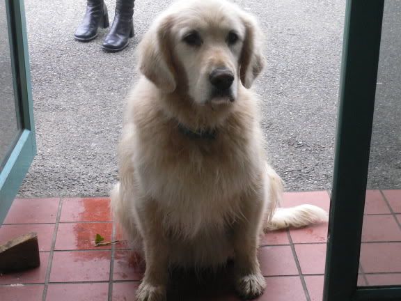 Image hosted by Photobucket.com