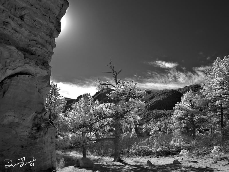 IMAGE: http://i11.photobucket.com/albums/a154/twede/IR%20-%20Colorado%20Springs/CatherdralRockNWedgeBWIR800x600.jpg