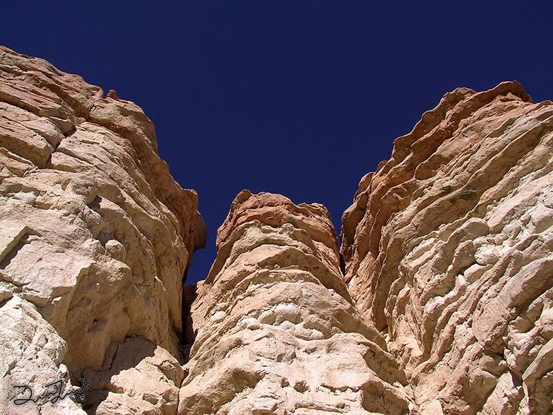 IMAGE: http://i11.photobucket.com/albums/a154/twede/IR%20-%20Colorado%20Springs/CatherdralRockthreecolumnsupvis800x.jpg