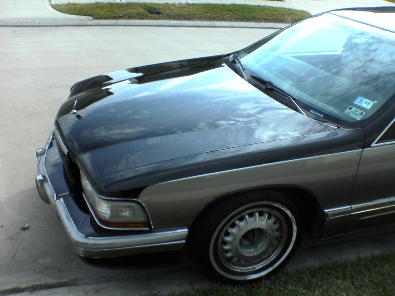 DSC00025.jpg