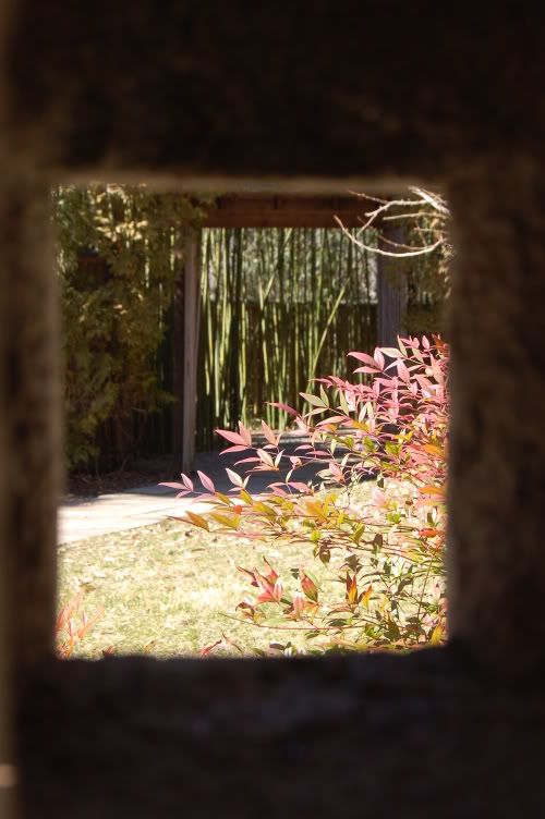 Window to the Japanese Garden