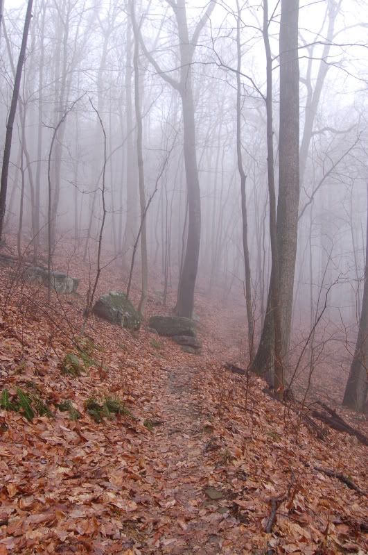 A Cold, Foggy Hike