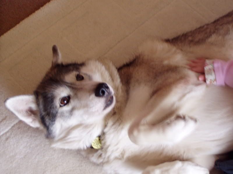 P1010008.jpg