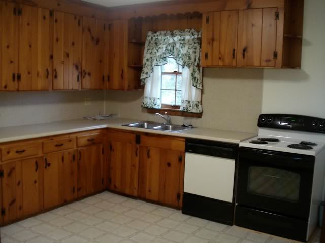 white kitchen cabinets pics