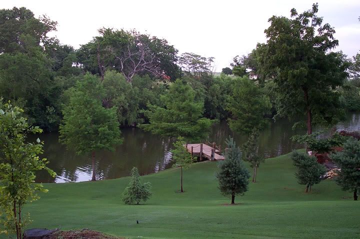 viewfromupperbackyard.jpg
