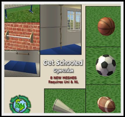 School Sims