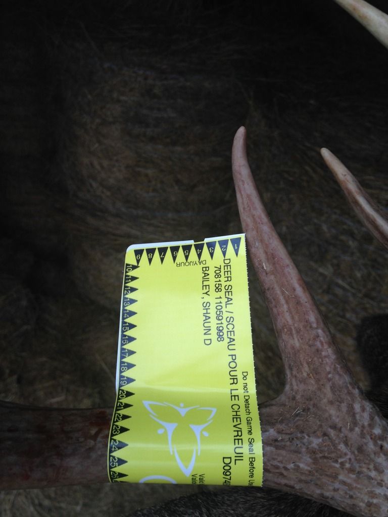 F4DE57E6-BC8F-4C6D-9ACA-C098142E292C_zps