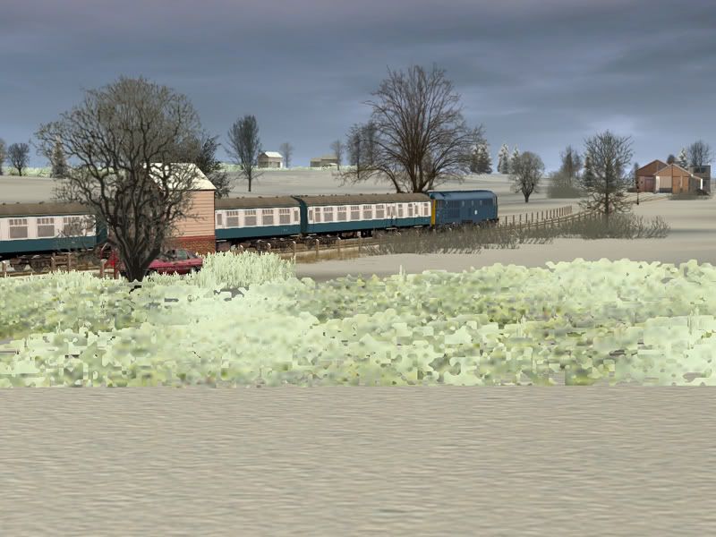 313.jpg