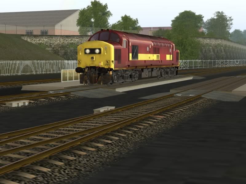 371-1.jpg