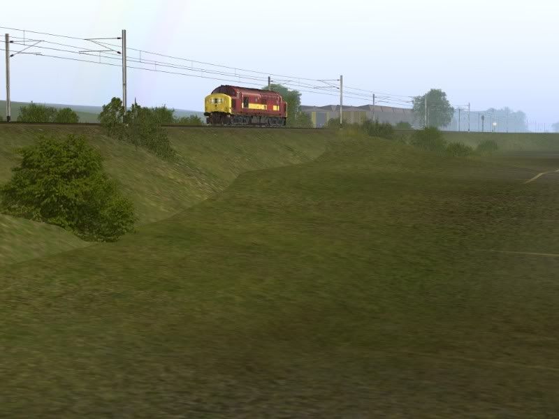 372.jpg