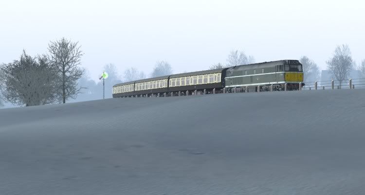 night4.jpg