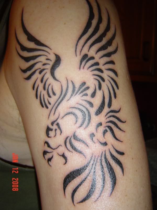 Animaltattooartanimalpictureanimal Hawk TattooHawk Tattoo