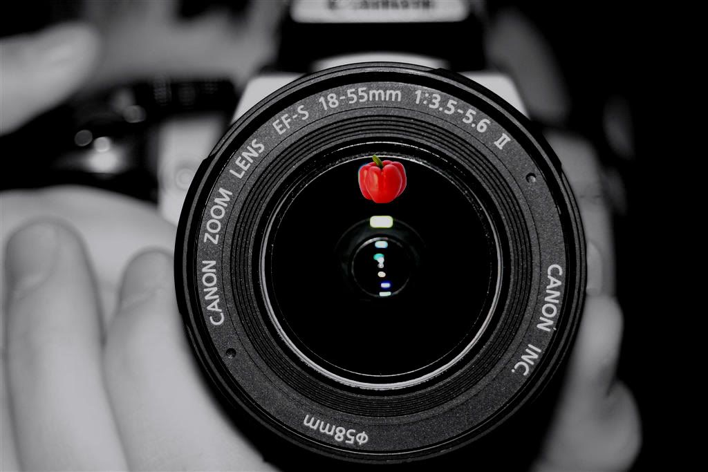 IMAGE: http://i11.photobucket.com/albums/a159/dysturbed/pepper.jpg