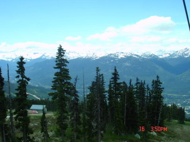 whistler16.jpg