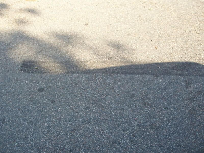 P9210055.jpg