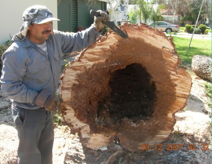 [Linked Image from i11.photobucket.com]