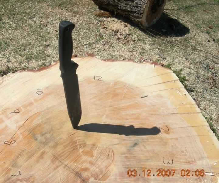 [Linked Image from i11.photobucket.com]