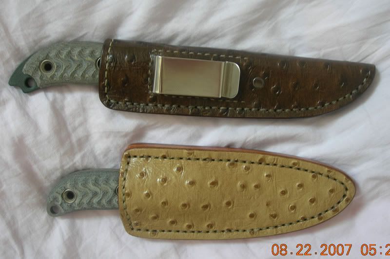[Linked Image from i11.photobucket.com]