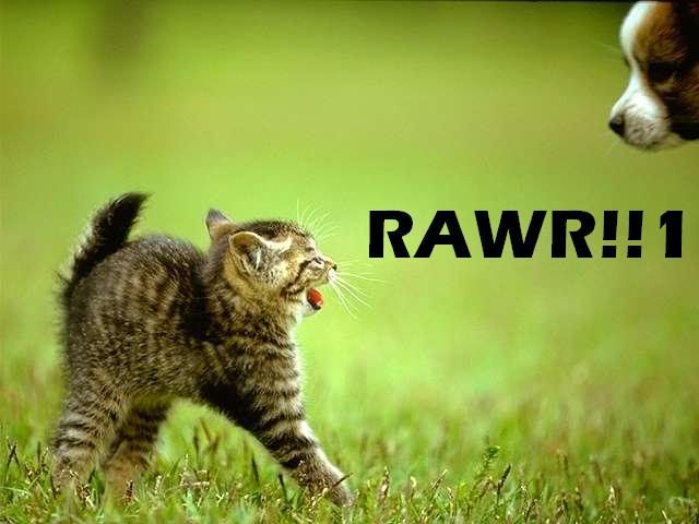 rawr.jpg