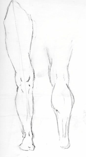 legs-1.jpg