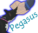 PegasusTag2.png