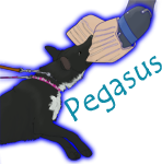PegasusTag3.png