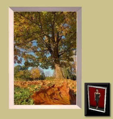 UG_Picture_Herbst002.jpg