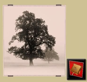 UG_Picture_Herbst003.jpg