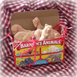 Animal Crackers Soap Set--100% Natural Ingredients!