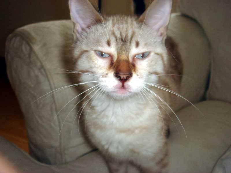 Photobucket - Video and Image Hosting