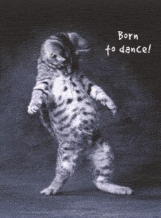 http://i11.photobucket.com/albums/a164/pu55yfootinabout/dancing-cat.gif