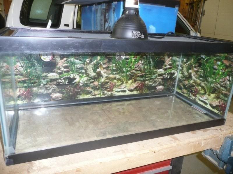 20Gallon Reptile Tank ChicagoLand Fishing Forums