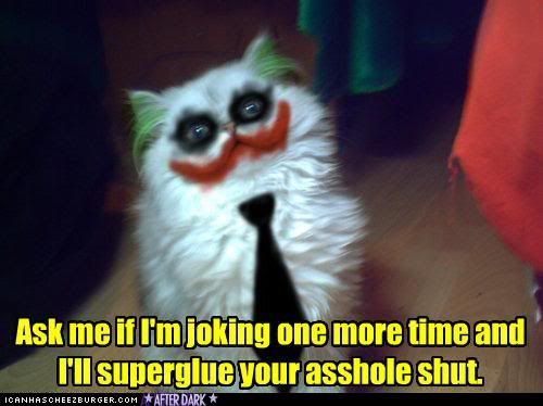 funny-pictures-joker-cat-joking.jpg