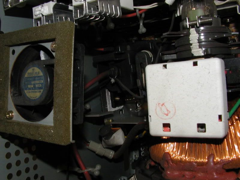  photo flyback.jpg