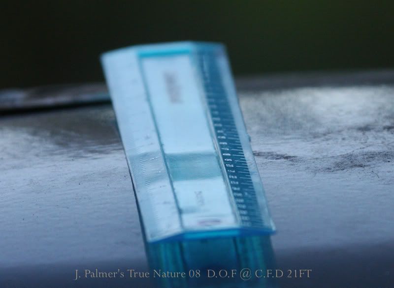 IMAGE: http://i11.photobucket.com/albums/a166/madas/DOF.jpg