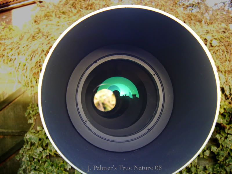 IMAGE: http://i11.photobucket.com/albums/a166/madas/edlens.jpg