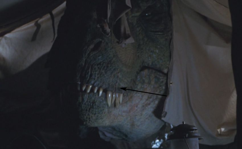 rex2.jpg