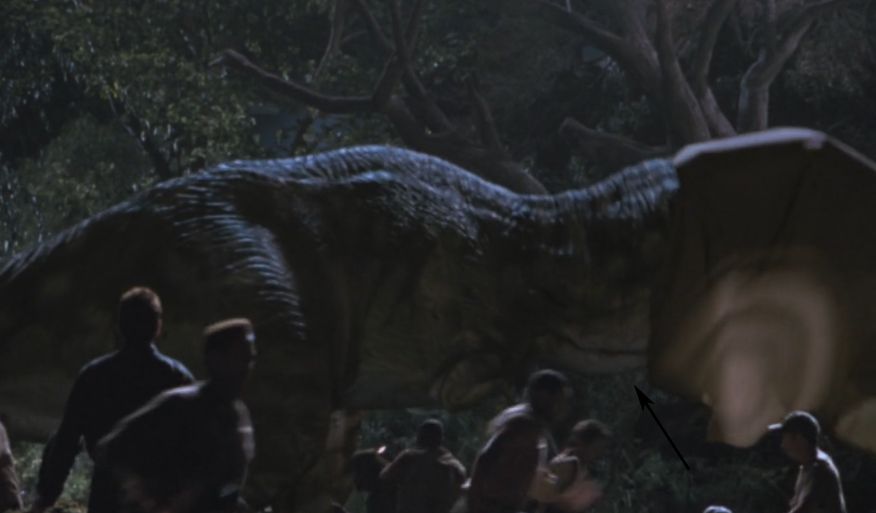 rex3.jpg