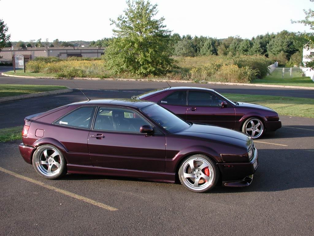 corrado purple