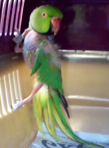 220420091408.jpg