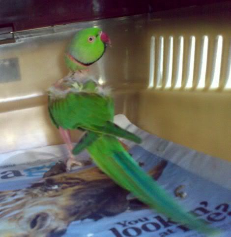 220420091409.jpg