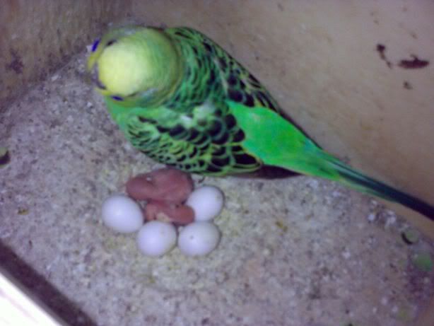 230320091039.jpg