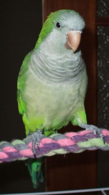 larry2.jpg