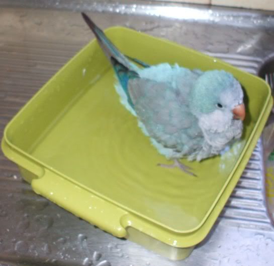 munchie_bath2.jpg